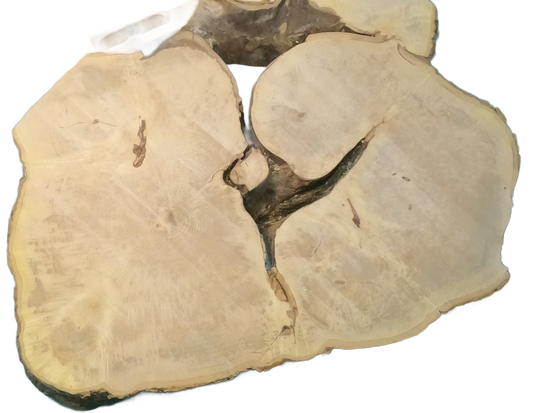 Echte Baumscheibe – Edler Ahorn - 120 cm