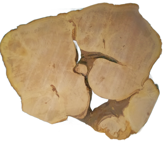 Echte Baumscheibe – Edler Ahorn - 120 cm