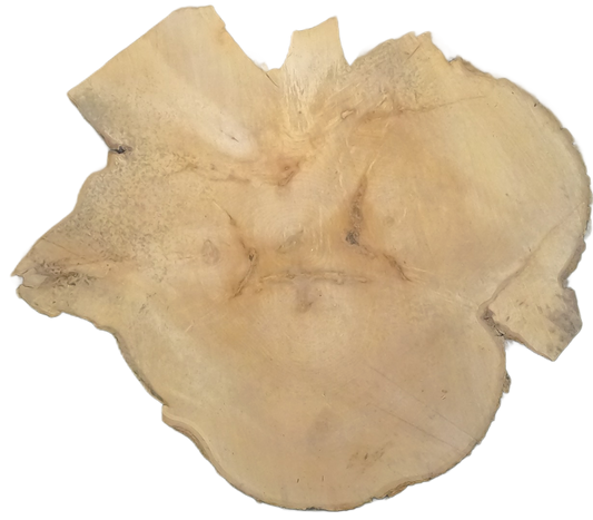 Echte Baumscheibe – Edler Ahorn - 90 cm