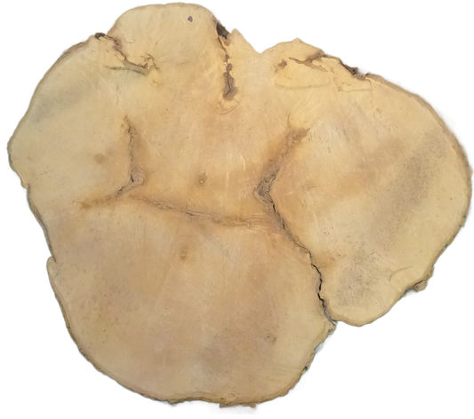 Echte Baumscheibe – Edler Ahorn - 120cm