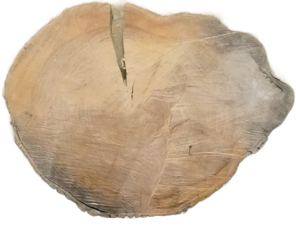 Ulmenholz-Unikat: Couchtisch-Scheibe Ø60cm